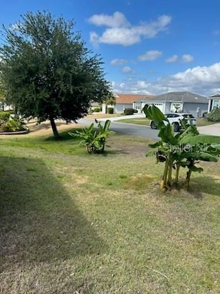 3074 Brine Way The Villages FL 32163