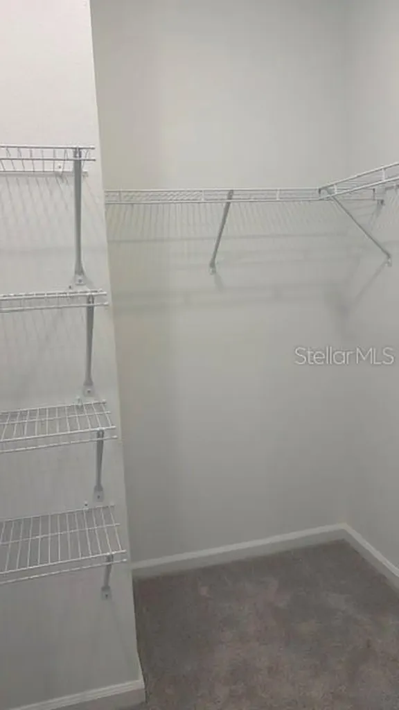 287 Puma Loop Groveland FL 34736