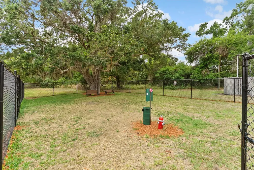 9426 Star Gazer Lane Riverview FL 33578