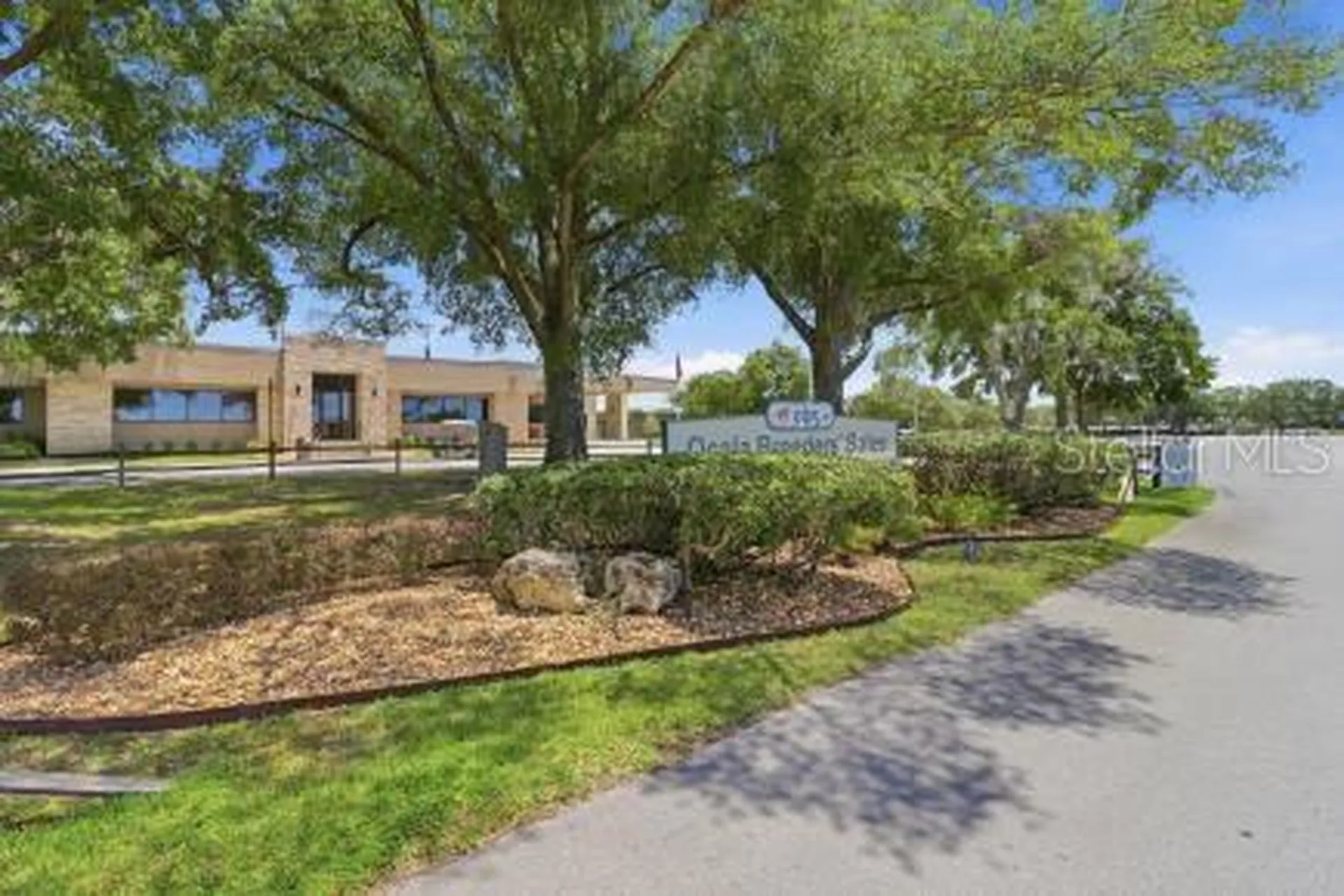 8907 SW 104th Circle Ocala FL 34481