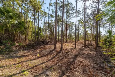 12428 Caravan Drive Punta Gorda FL 33955