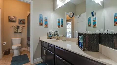 105 Mobbly Bay Drive Oldsmar FL 34677