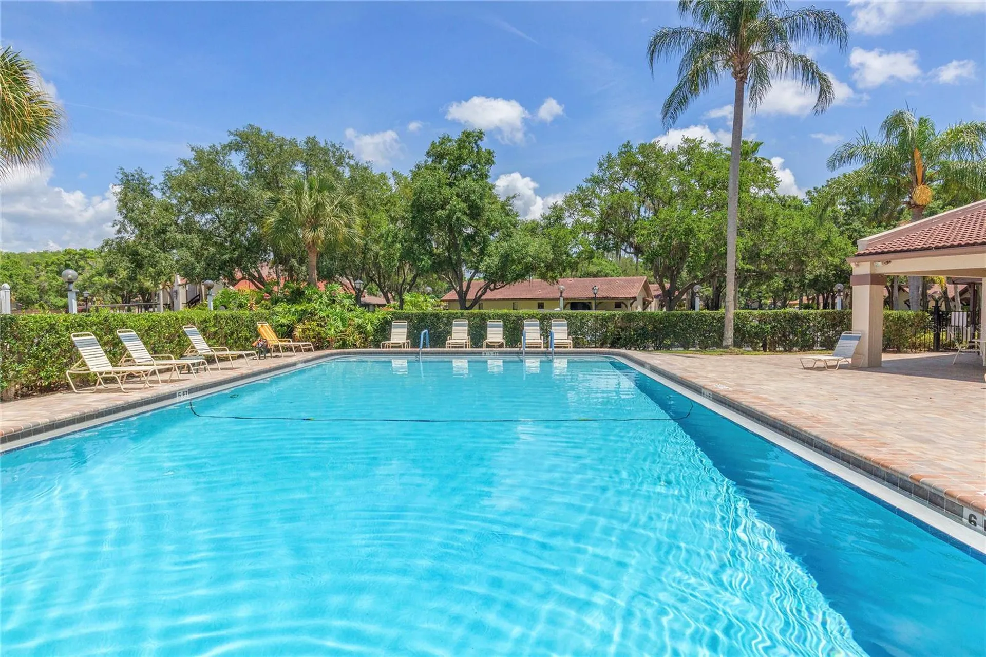3446 Tarpon Woods Boulevard Palm Harbor FL 34685