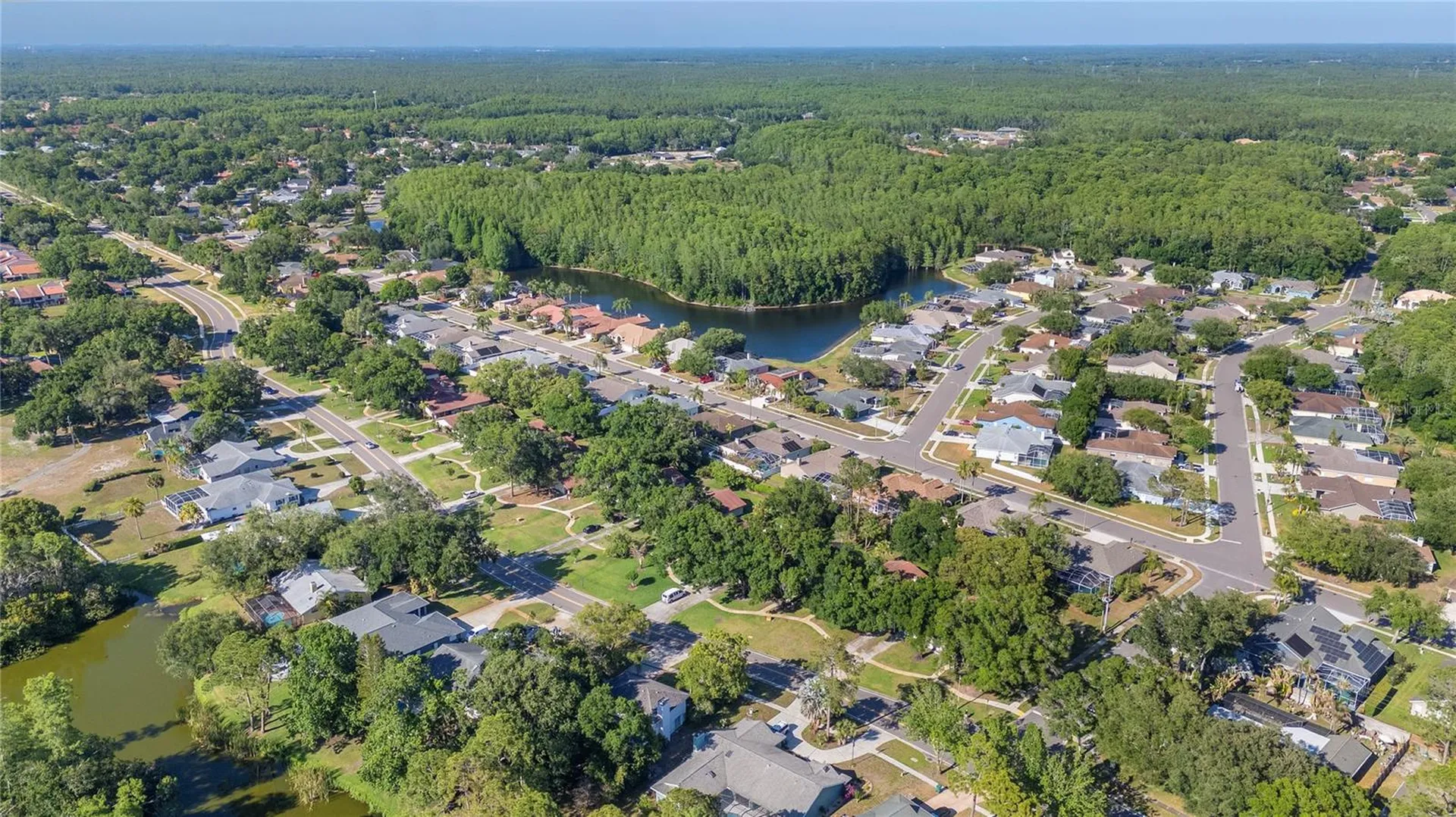 3446 Tarpon Woods Boulevard Palm Harbor FL 34685
