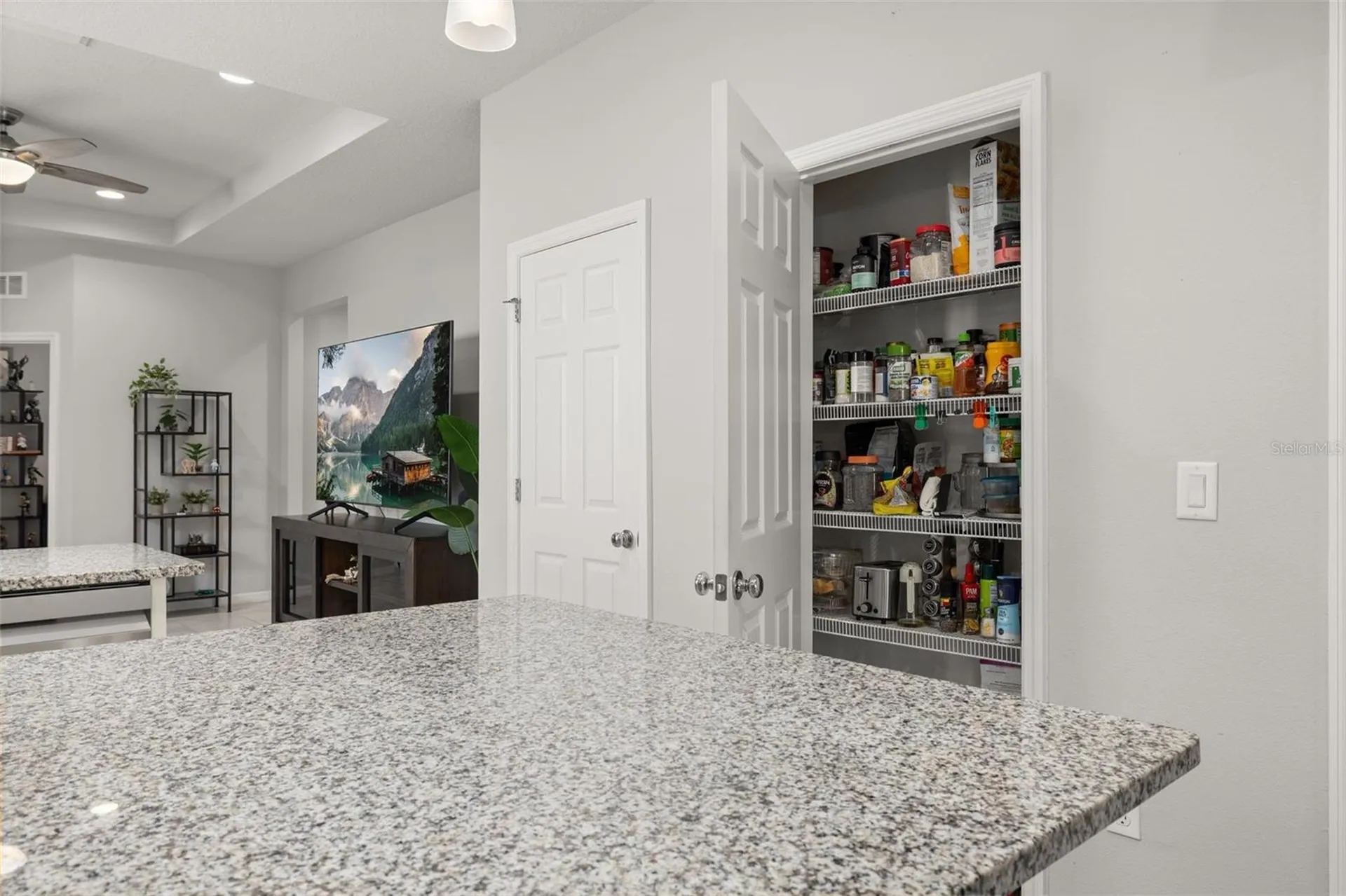 17325 Bracken Fern Lane Clermont FL 34714