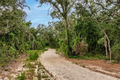 Bay Street Leesburg FL 34788