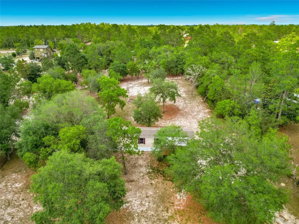 14671 SE 25th Street Morriston FL 32668