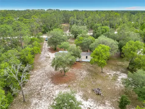 14671 SE 25th Street Morriston FL 32668