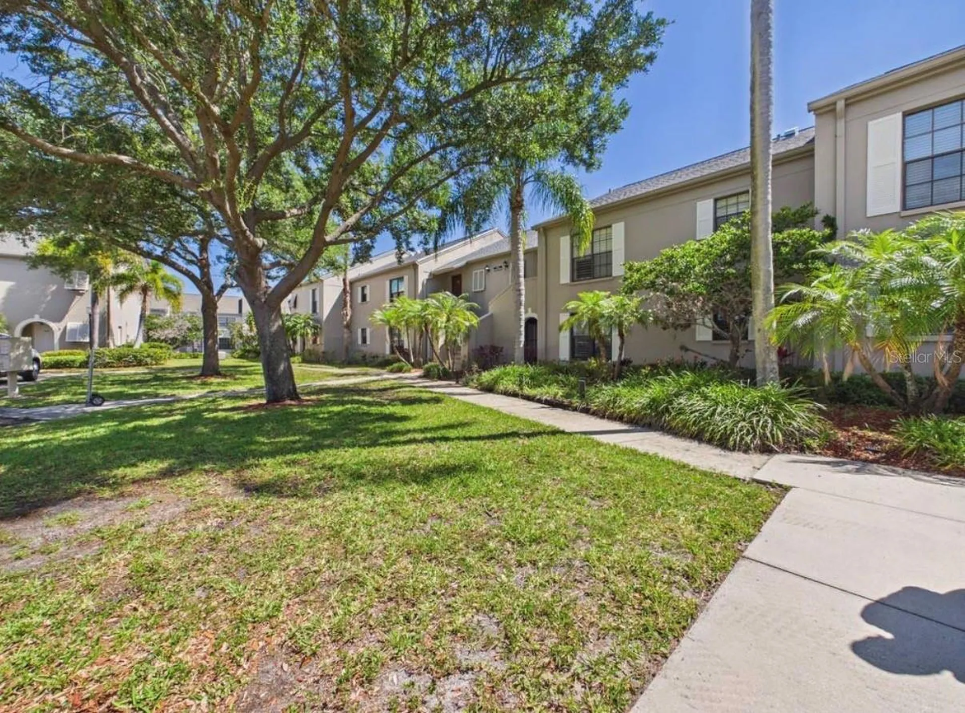 Clearwater FL 33762