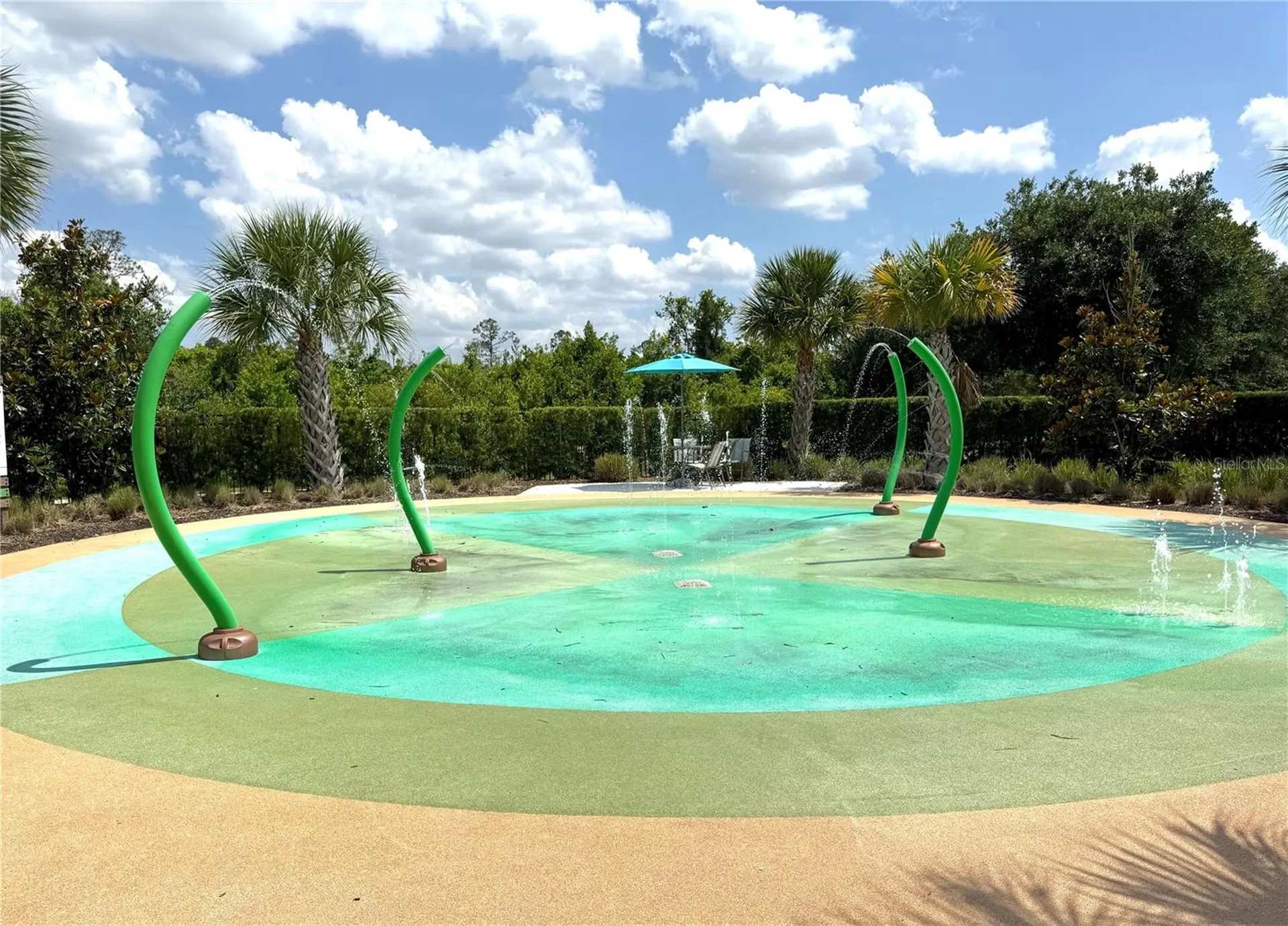 17386 Saw Palmetto Avenue Clermont FL 34714