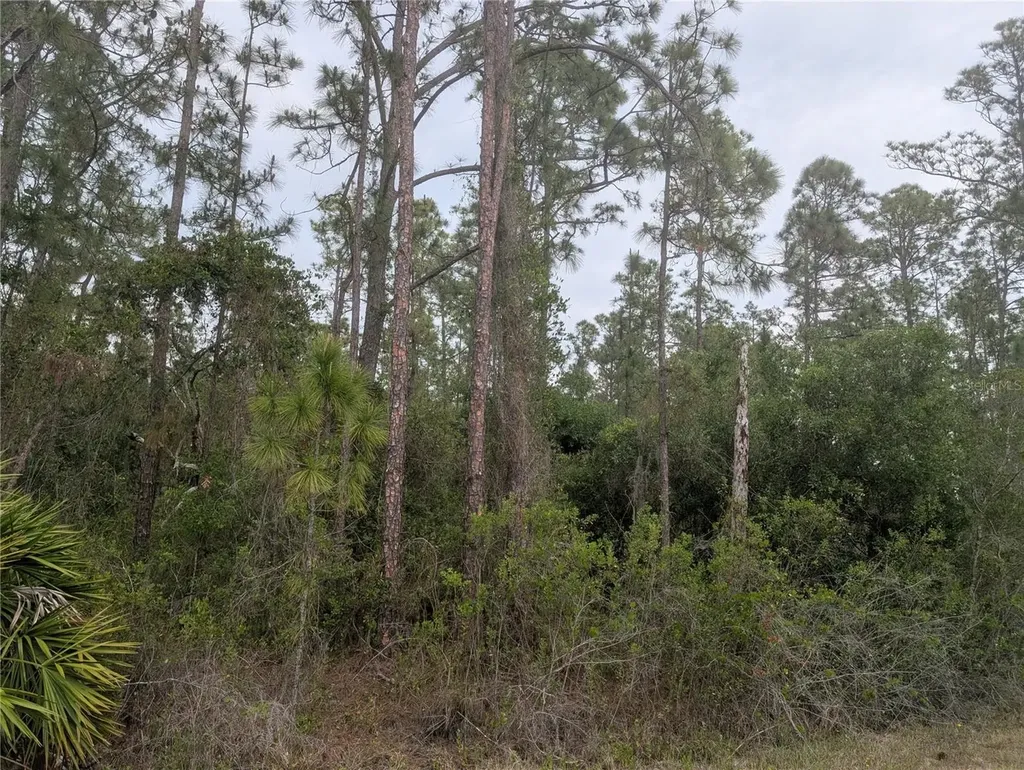 320 Alba Drive Indian Lake Estates FL 33855