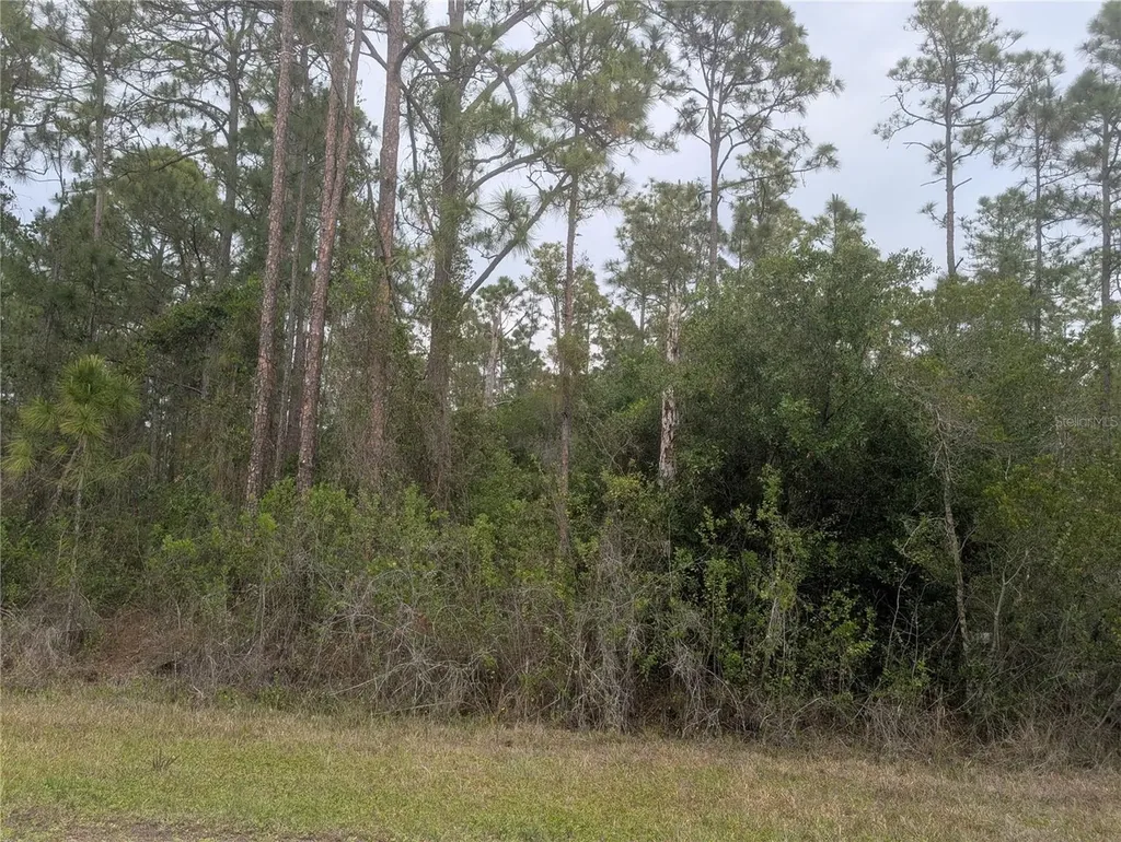 320 Alba Drive Indian Lake Estates FL 33855