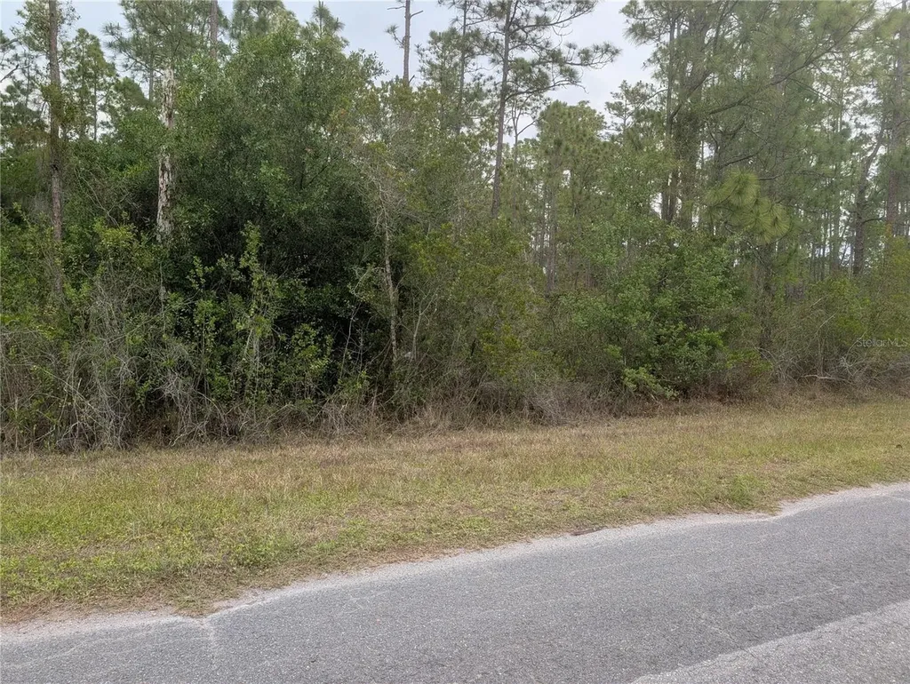 320 Alba Drive Indian Lake Estates FL 33855