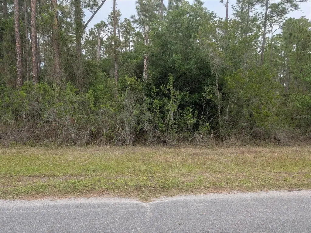 320 Alba Drive Indian Lake Estates FL 33855