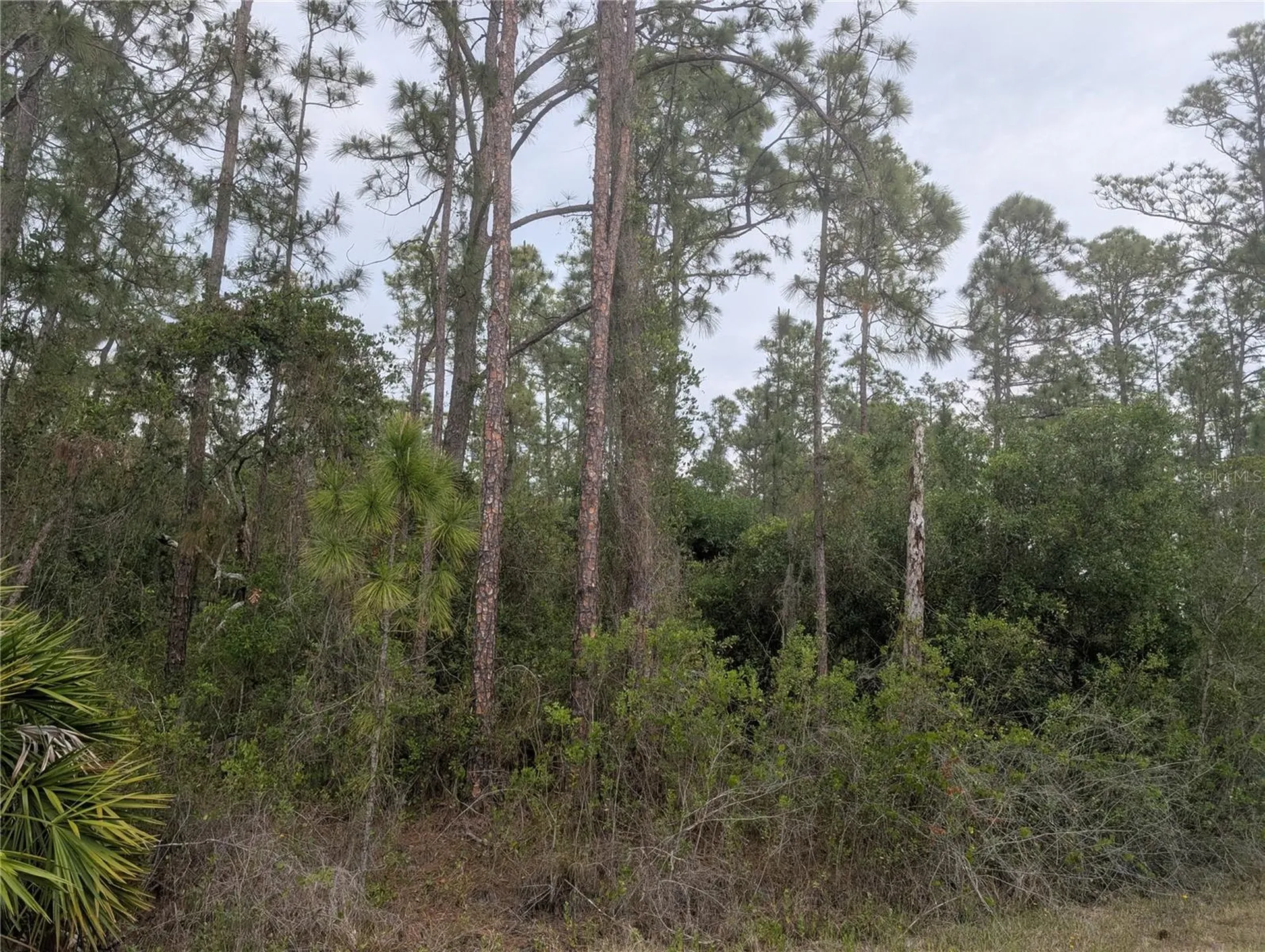 320 Alba Drive Indian Lake Estates FL 33855