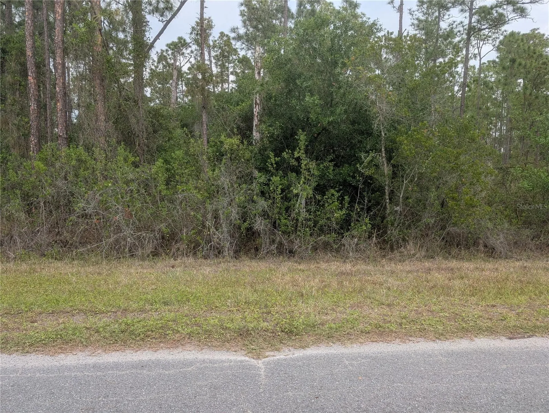 320 Alba Drive Indian Lake Estates FL 33855