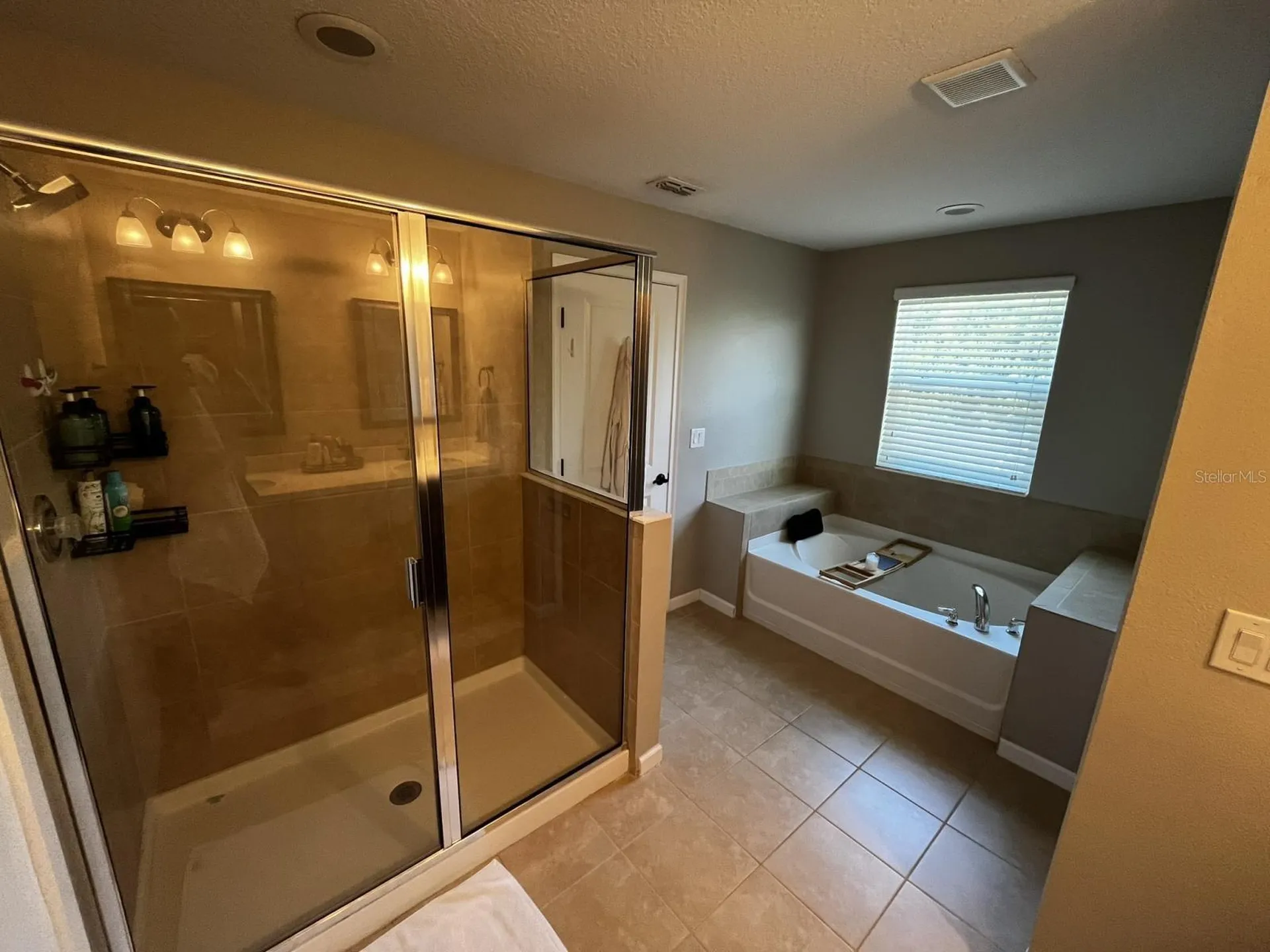 12330 Streambed Drive Riverview FL 33579