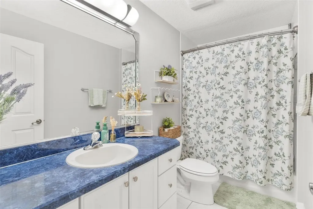 1027 Urico Golf Road Lady Lake FL 32159