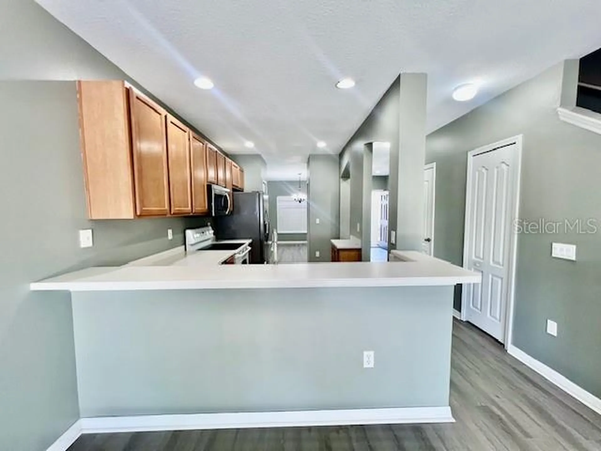 15655 Stable Run Drive Spring Hill FL 34610