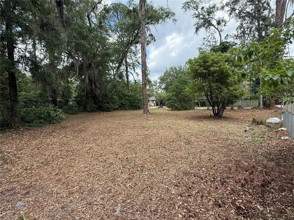 NE 8th Avenue Gainesville FL 32601
