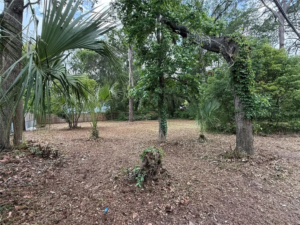 NE 8th Avenue Gainesville FL 32601