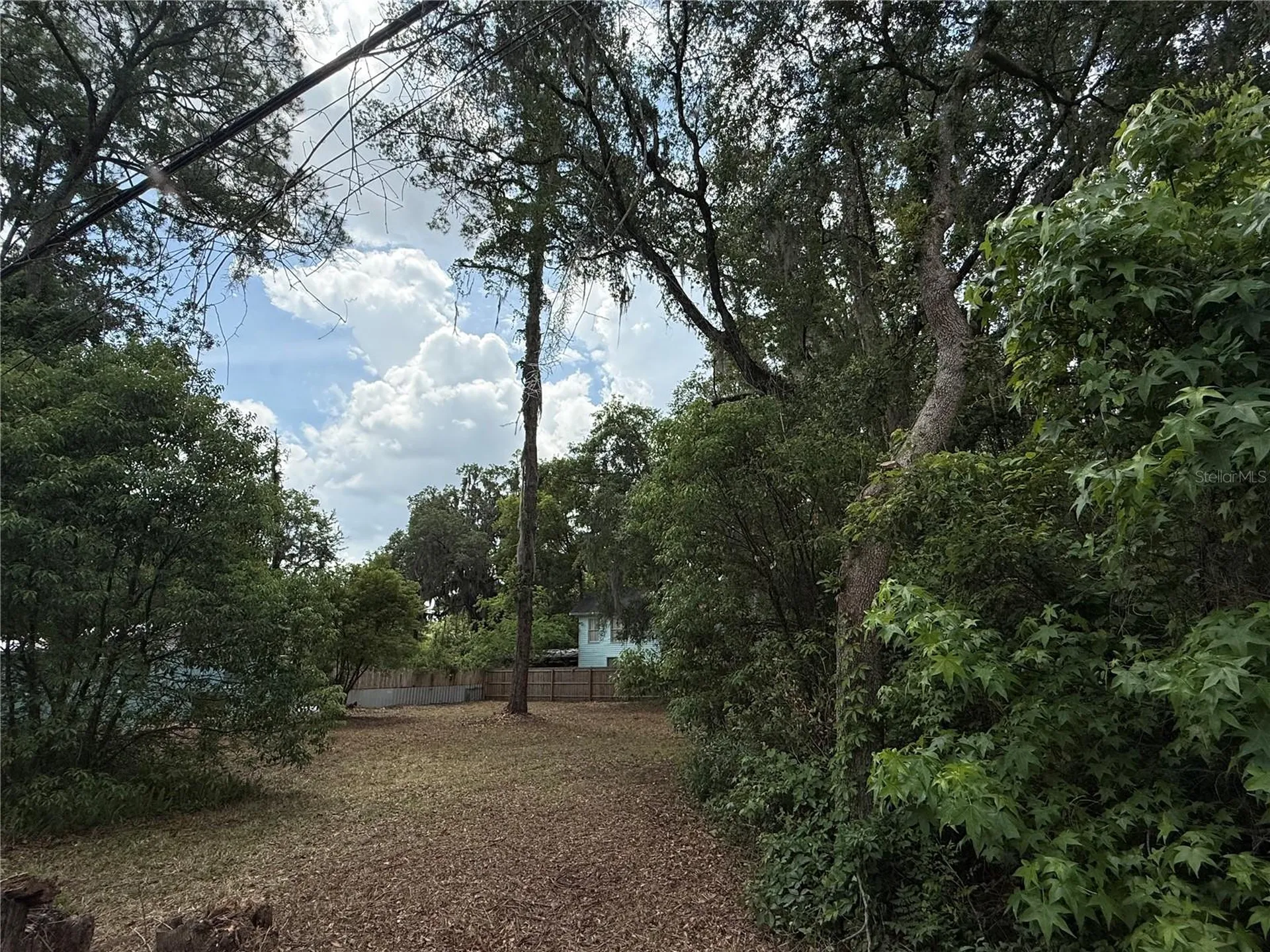 NE 8th Avenue Gainesville FL 32601