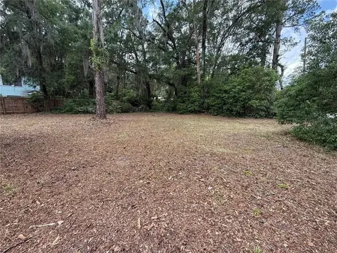 NE 8th Avenue Gainesville FL 32601
