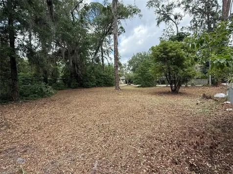 NE 8th Avenue Gainesville FL 32601