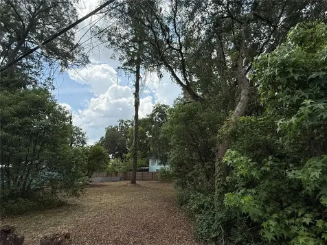 NE 8th Avenue Gainesville FL 32601