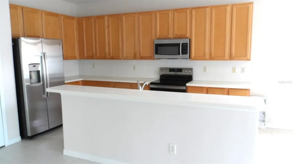 1029 Millebourne Way Wesley Chapel FL 33543