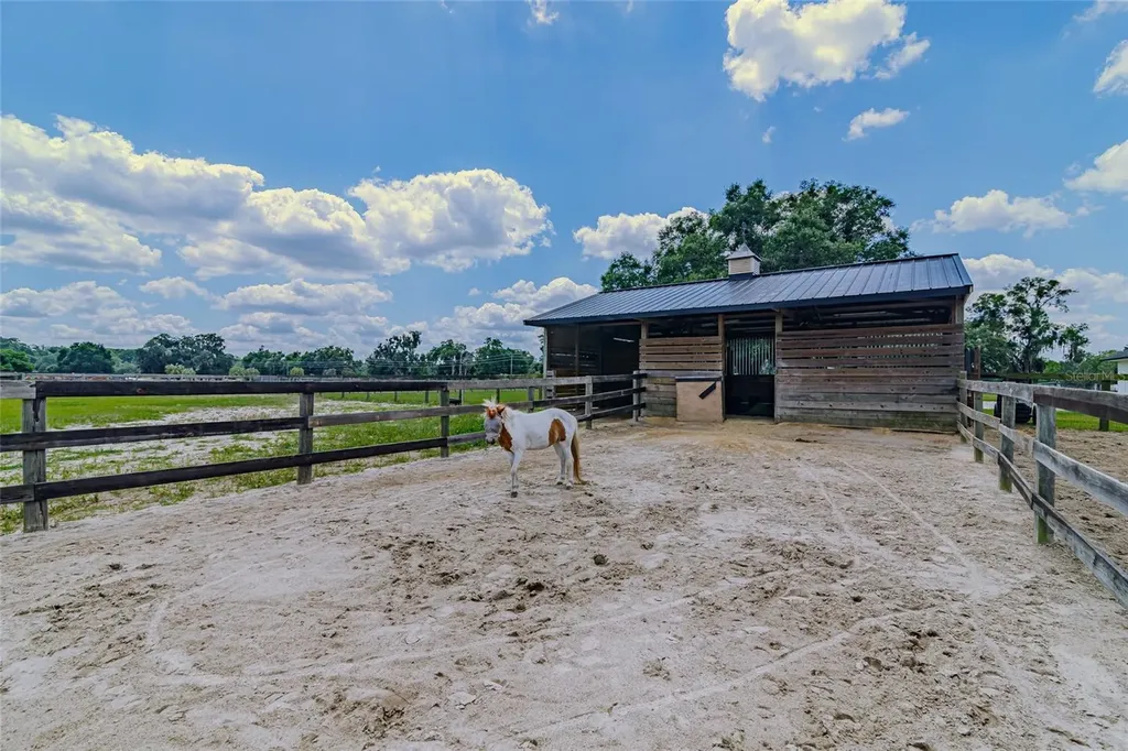 1155 E Highway 316 Citra FL 32113