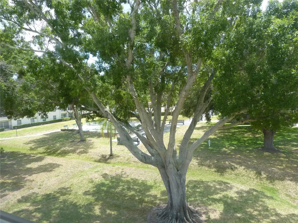 2700 Bayshore Boulevard Dunedin FL 34698