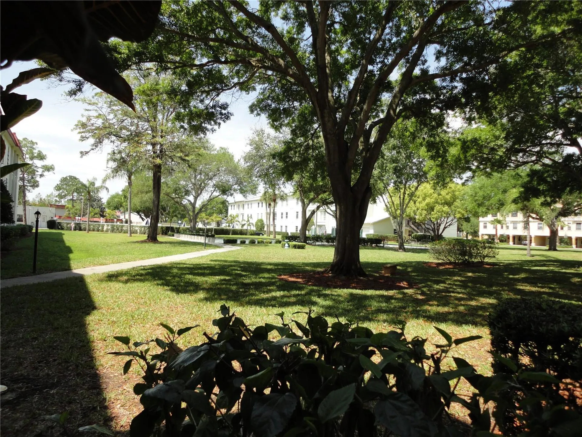2700 Bayshore Boulevard Dunedin FL 34698