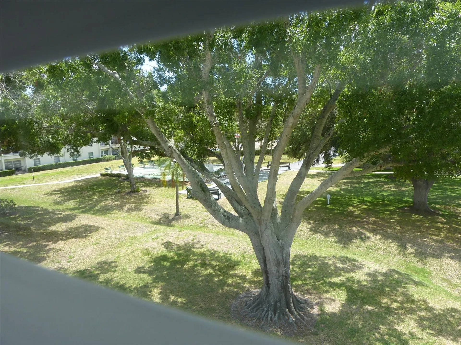 2700 Bayshore Boulevard Dunedin FL 34698