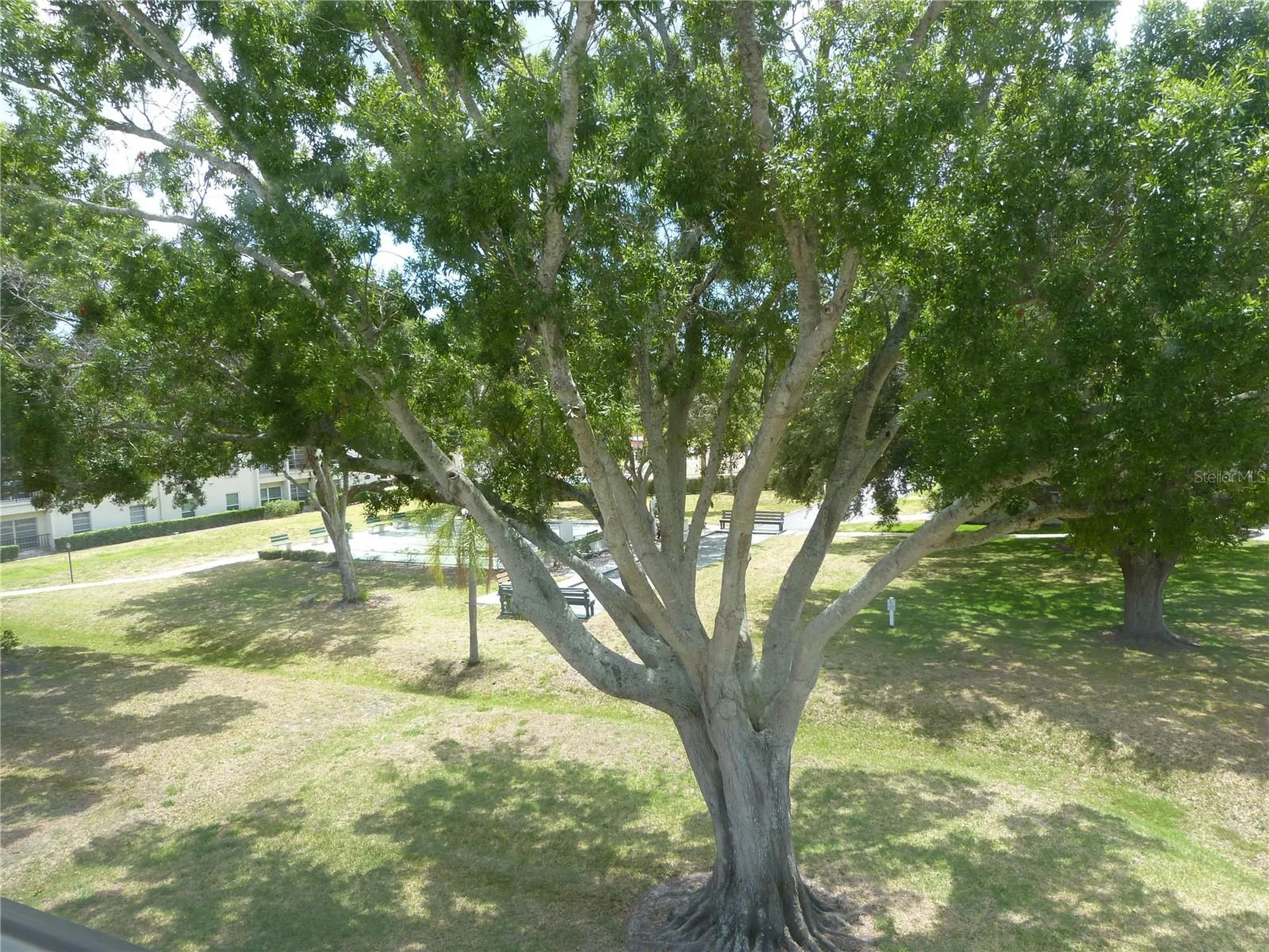 2700 Bayshore Boulevard Dunedin FL 34698