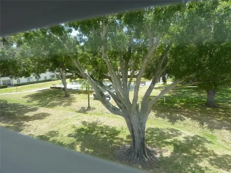 2700 Bayshore Boulevard Dunedin FL 34698