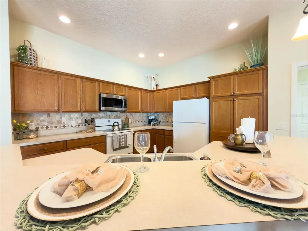 2089 Ironton Place The Villages FL 32163