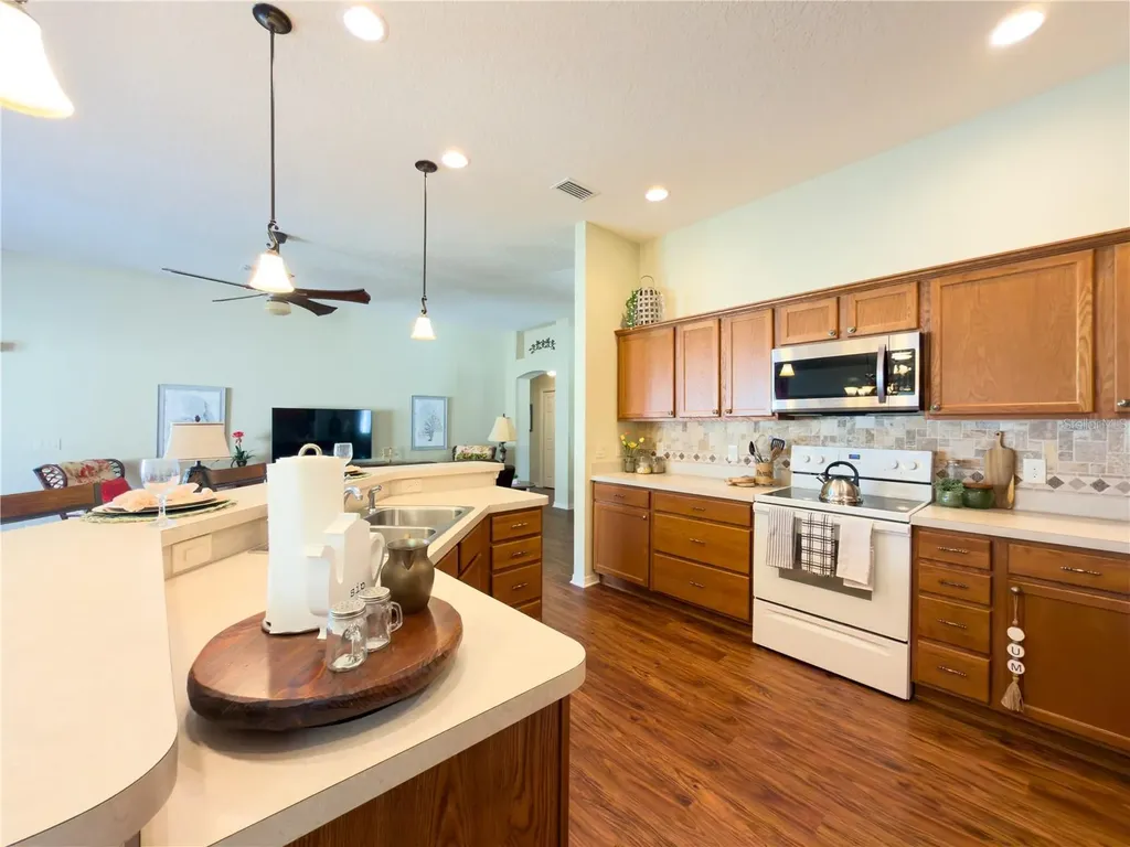 2089 Ironton Place The Villages FL 32163