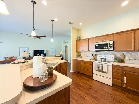 2089 Ironton Place The Villages FL 32163