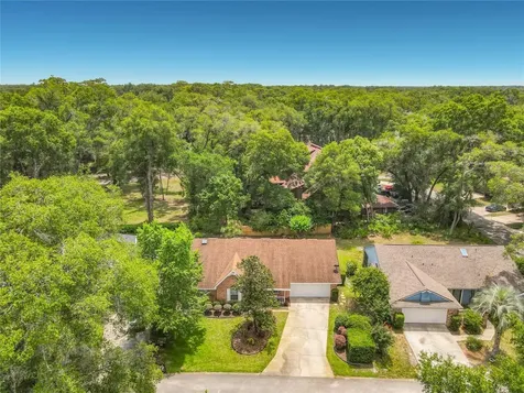 405 Secluded Oaks Trail Deland FL 32724