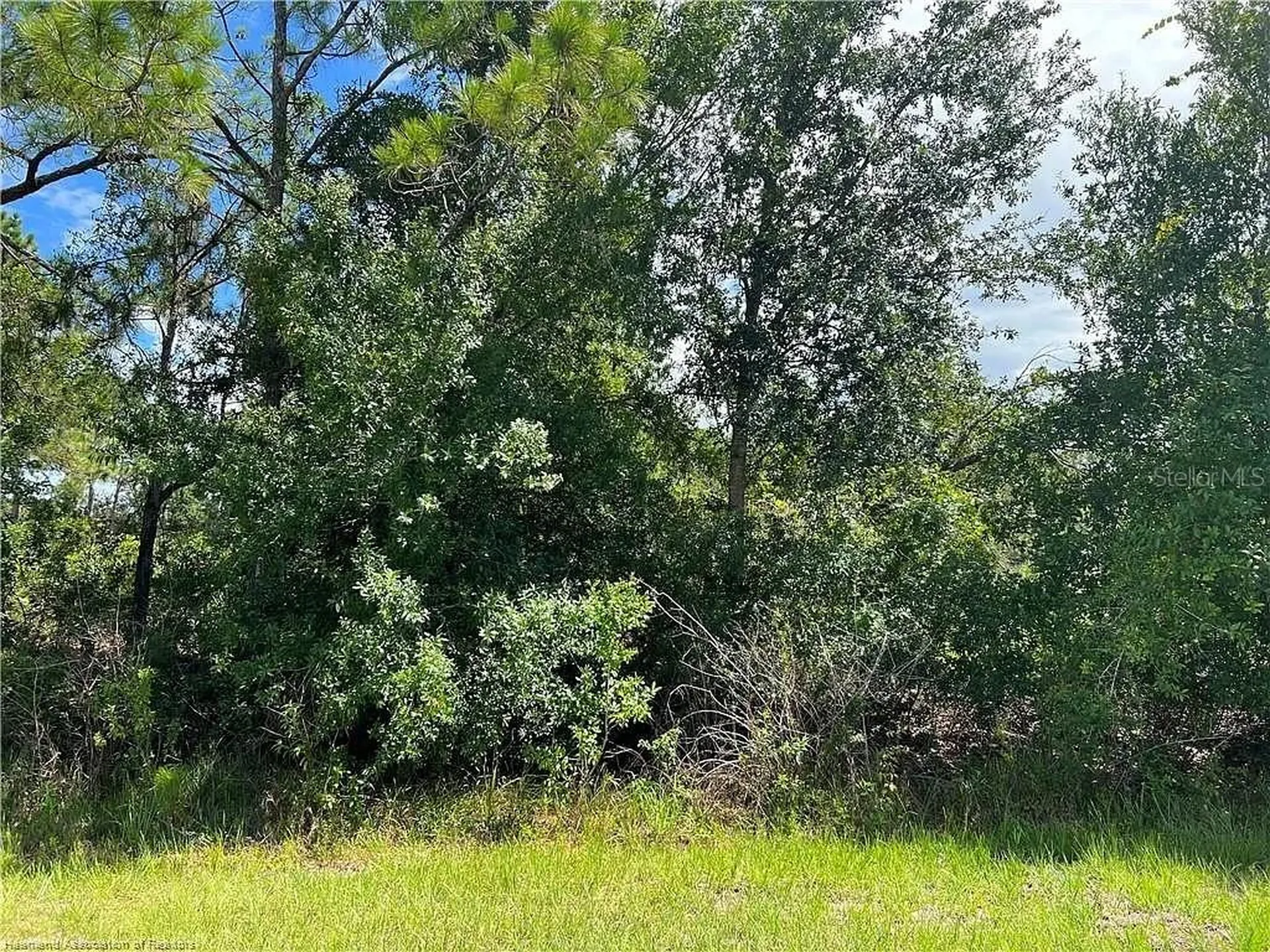 4120 Nogales Avenue Sebring FL 33872