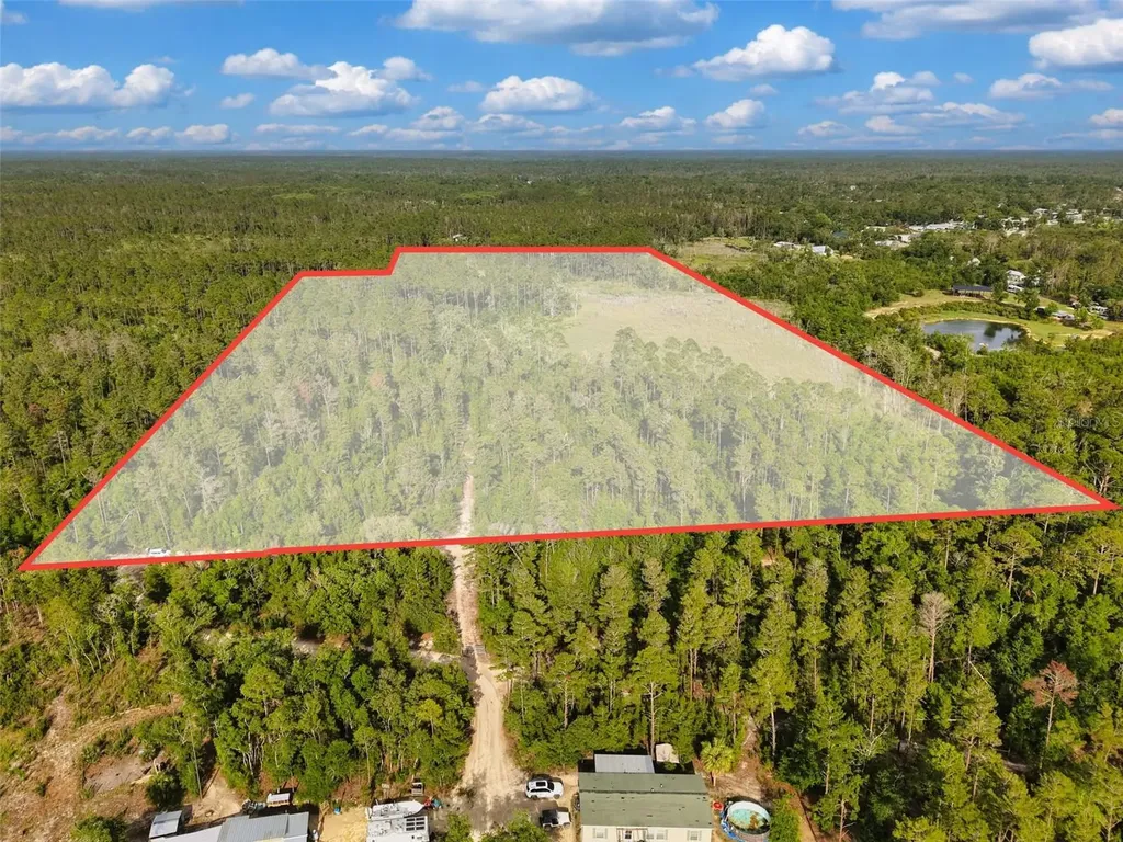 Savanna Lane Steinhatchee FL 32359