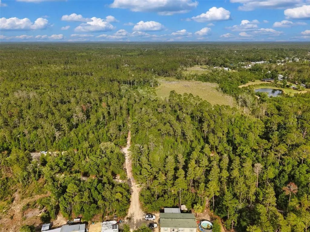 Savanna Lane Steinhatchee FL 32359