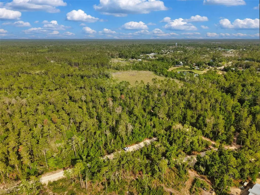 Savanna Lane Steinhatchee FL 32359
