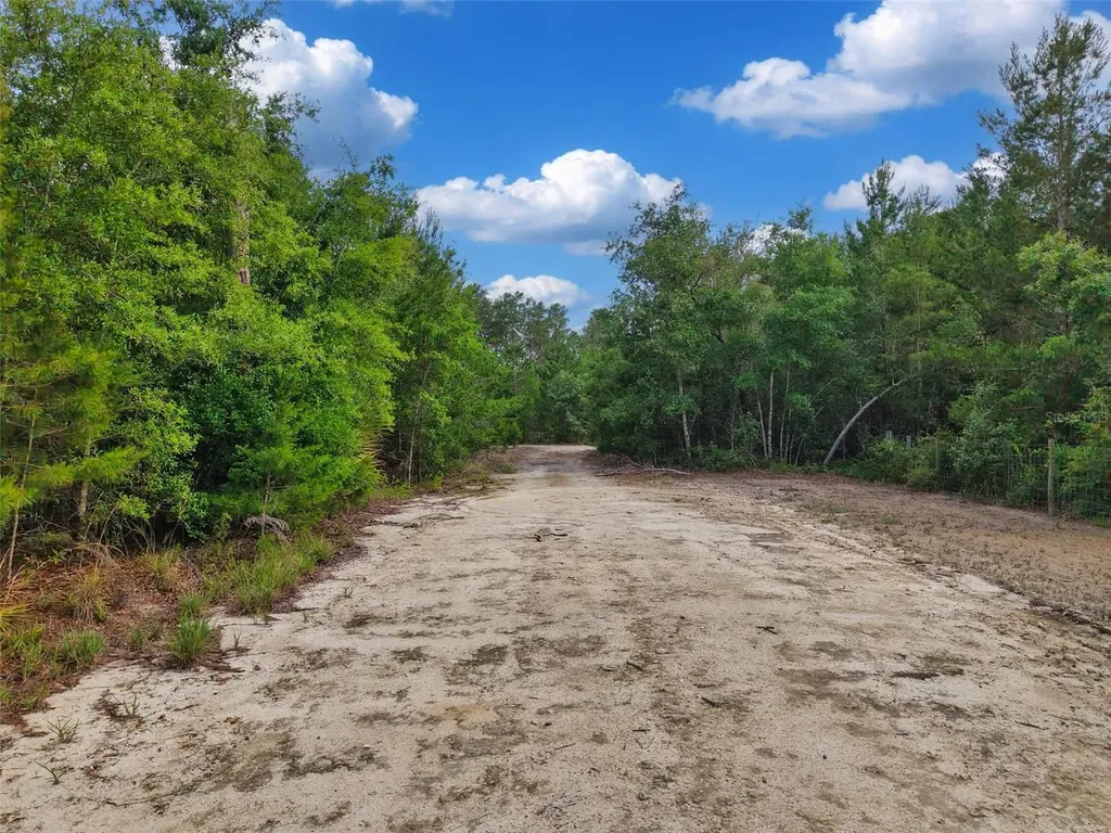 Savanna Lane Steinhatchee FL 32359