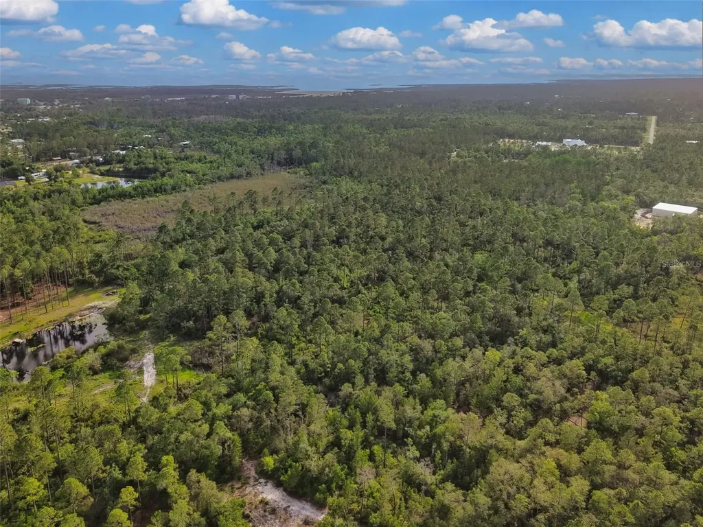 Savanna Lane Steinhatchee FL 32359