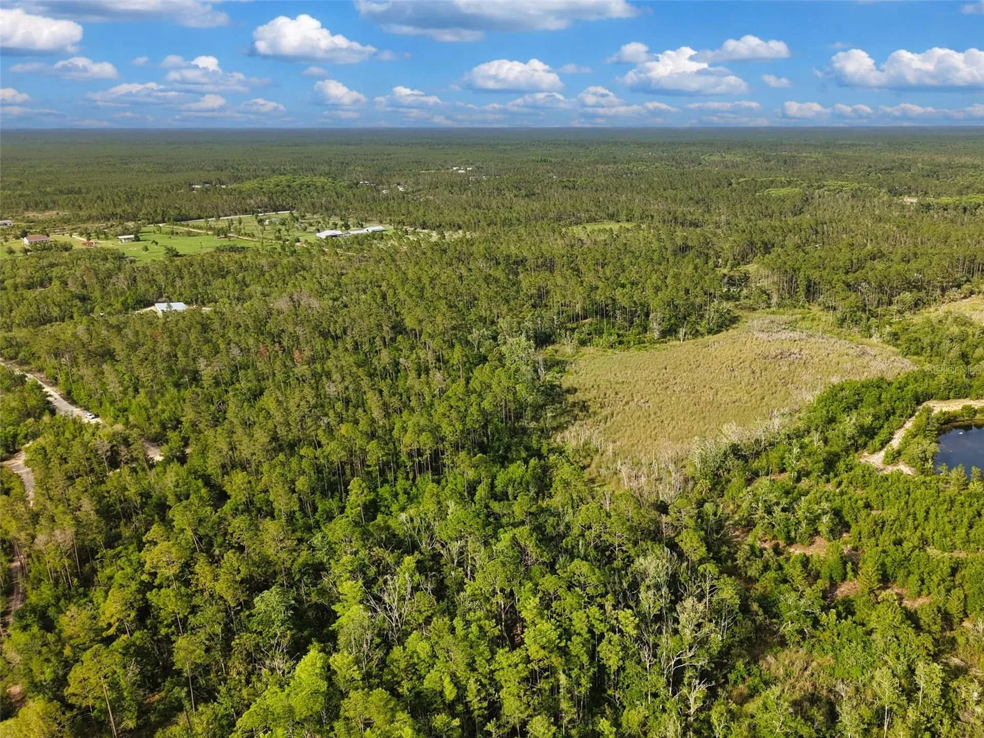 Savanna Lane Steinhatchee FL 32359