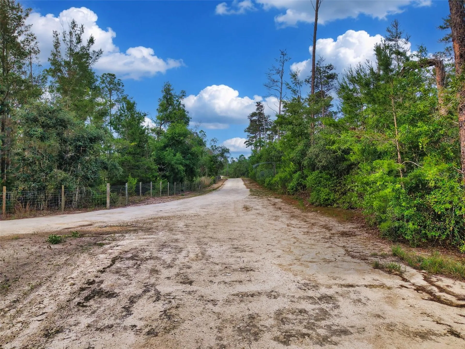 Savanna Lane Steinhatchee FL 32359