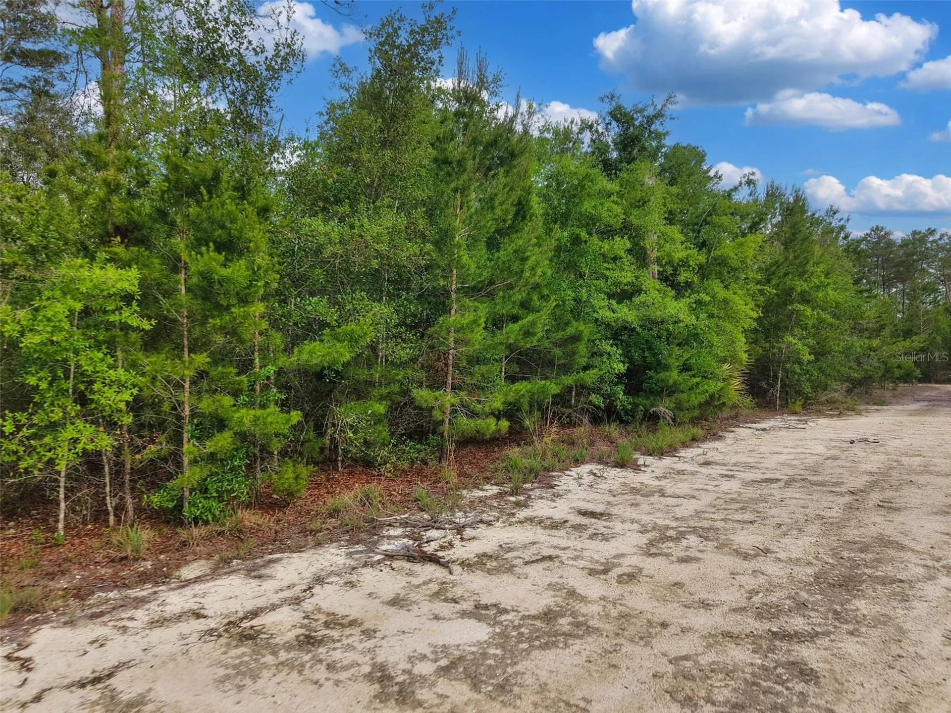 Savanna Lane Steinhatchee FL 32359