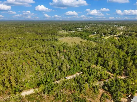 Savanna Lane Steinhatchee FL 32359